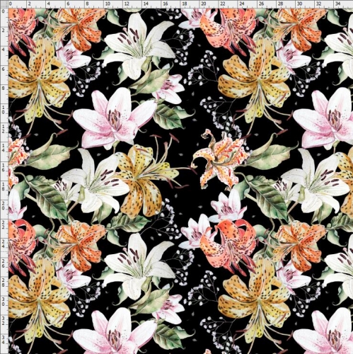 Rose-0235