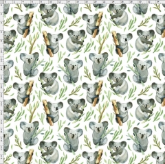 Koala-0806