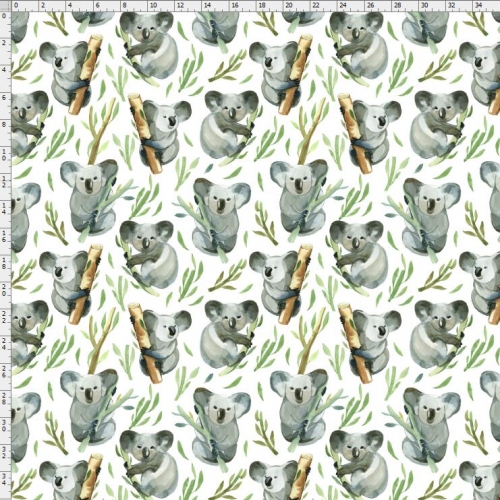 Koala-0806