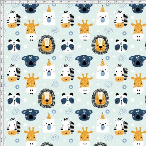 Koala-1359