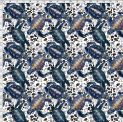 Turtle-4907