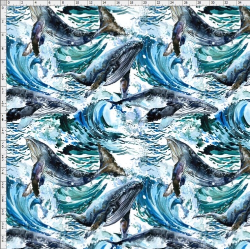 Whale-6496