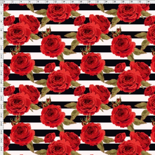 Rose-2435