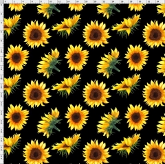 Sunflower-0135
