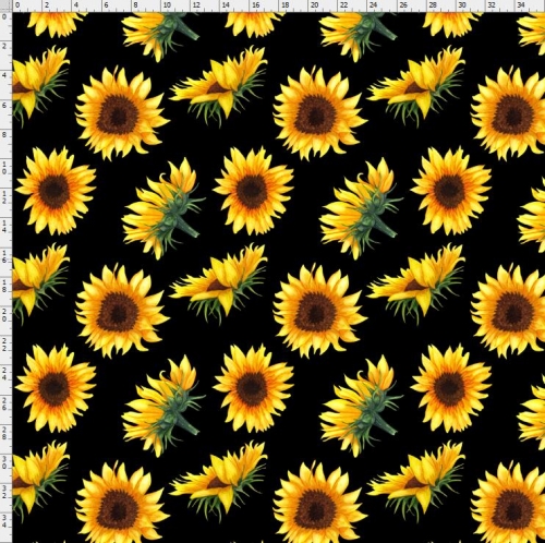 Sunflower-0135