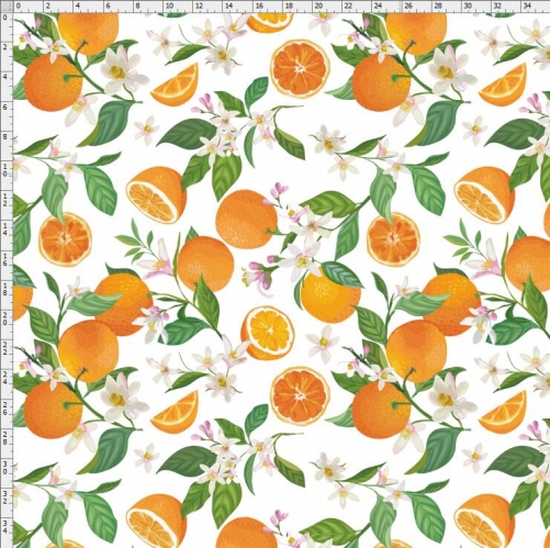 Fruit-2773