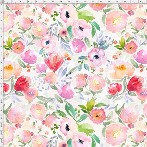 Tulip-5825