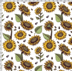 Sunflower-6239