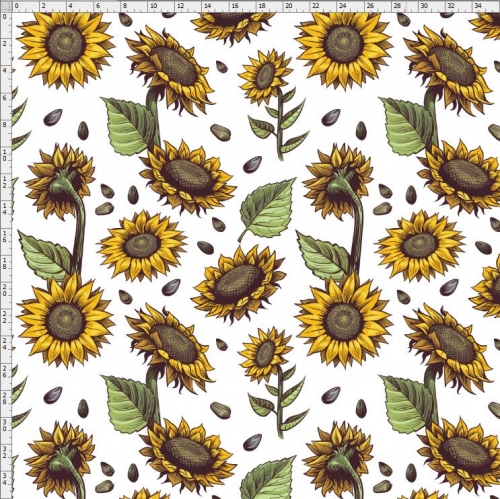 Sunflower-6239