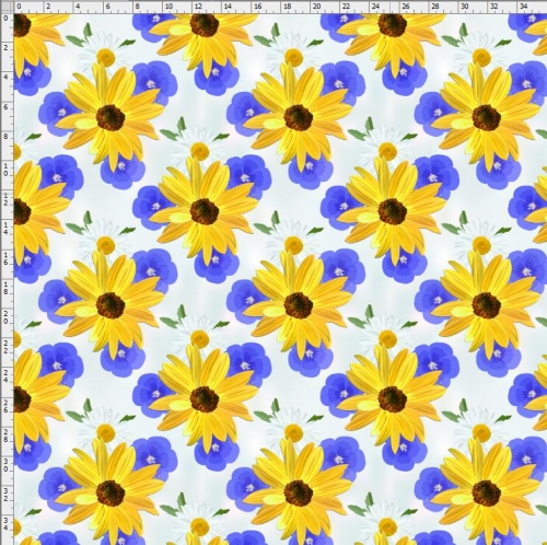 Sunflower-7249