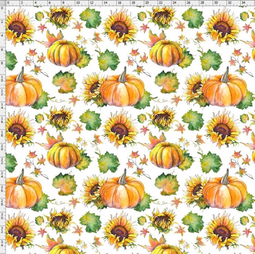 Sunflower-4045