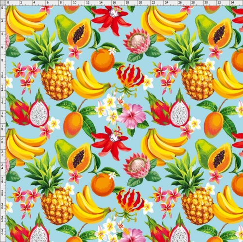 Fruit-9604