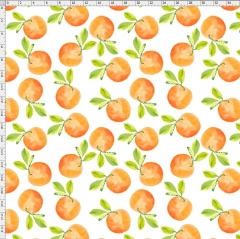 Fruit-6496
