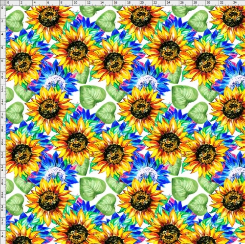 Sunflower-4727