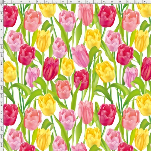 Tulip-2604