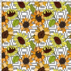 Sunflower-7846