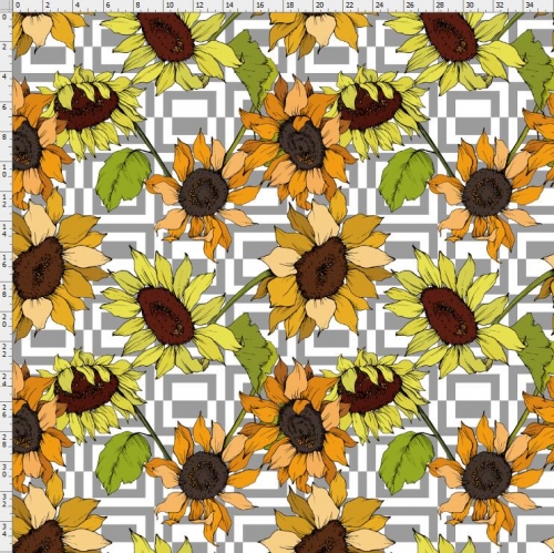 Sunflower-7846
