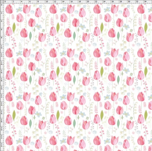 Tulip-5119