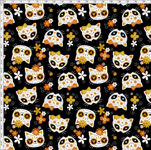 Skull-5172