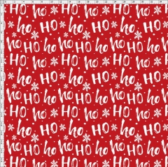 Christmas-7836
