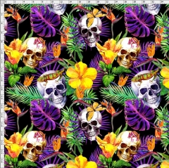 Skull-8481