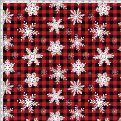 Christmas-5867