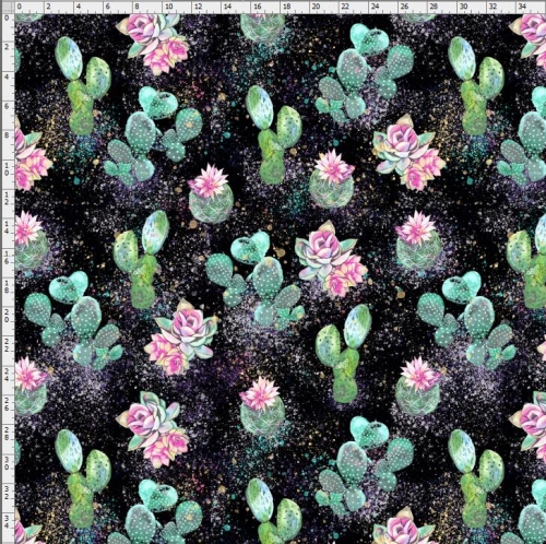 Cactus-9604