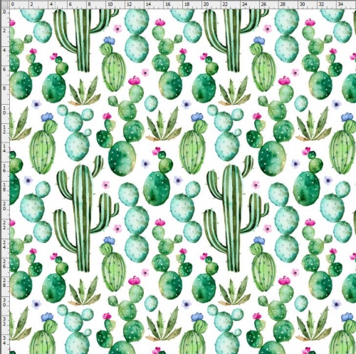 Cactus-9299