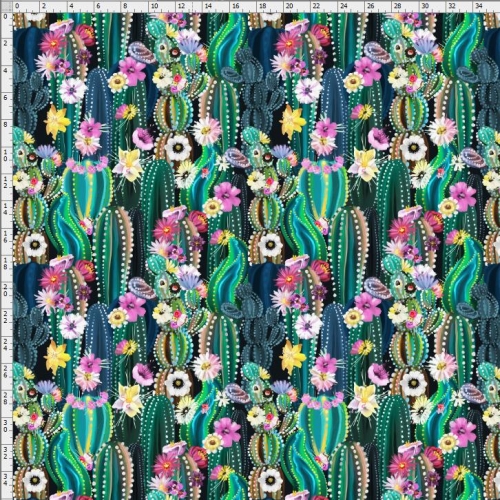 Cactus-4003