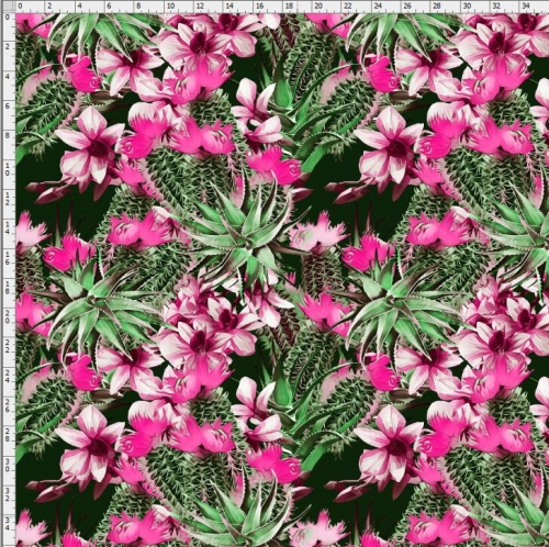 Cactus-3838