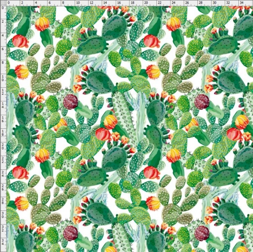 Cactus-8056