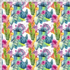 Cactus-8391