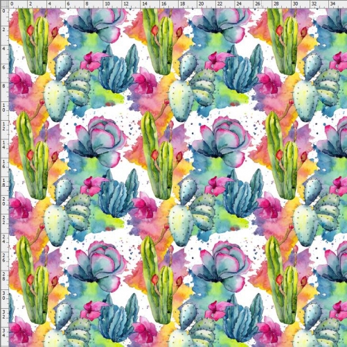 Cactus-8391