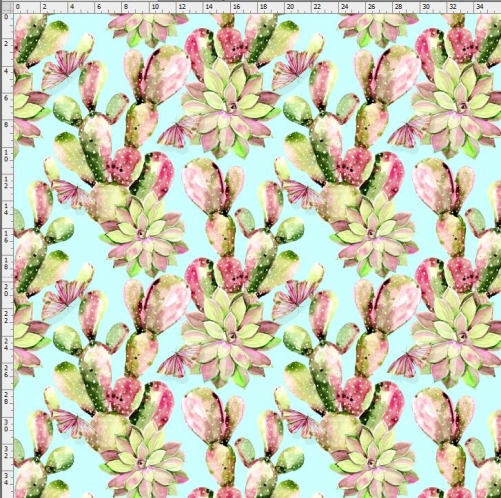 Cactus-3524