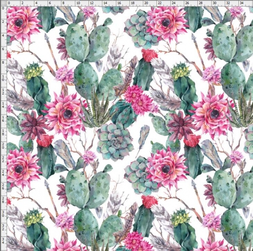 Cactus-4538