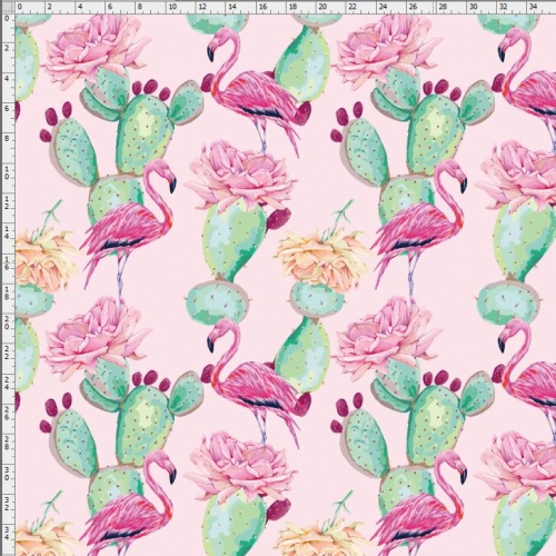 Cactus-6702