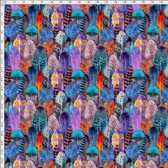 Feather-5965