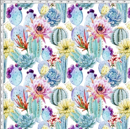 Cactus-6639