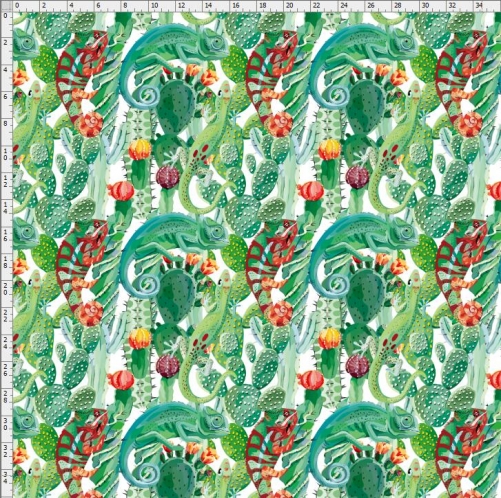 Cactus-7565