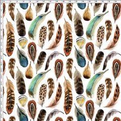 Feather-4123