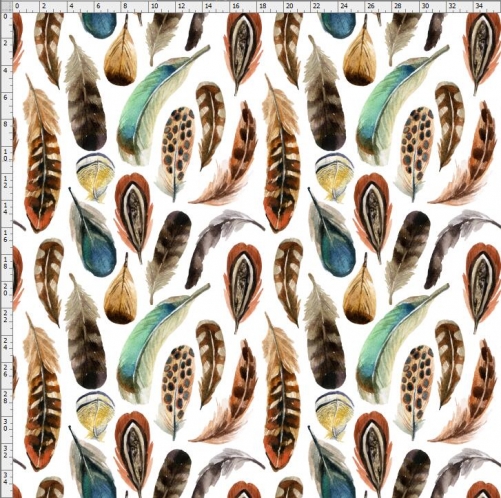 Feather-4123