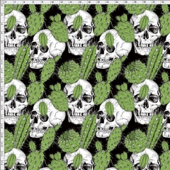 Cactus-5411