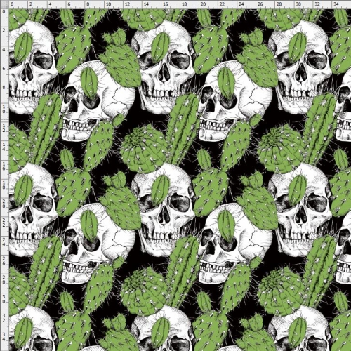 Cactus-5411